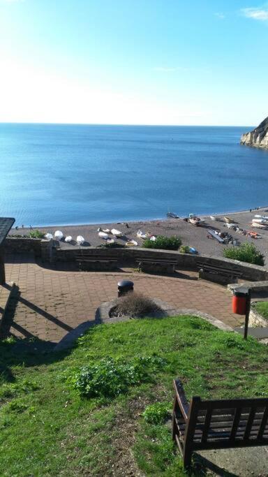 No. 27. A quiet dog friendly rural/coastal chalet Villa Seaton Exterior foto